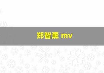 郑智薰 mv